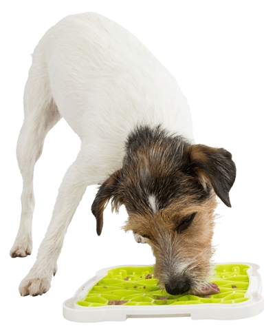 Lick'n'snack plaat - honden - TPR/plastic - 20x20 cm - Hondenpleintje.nl