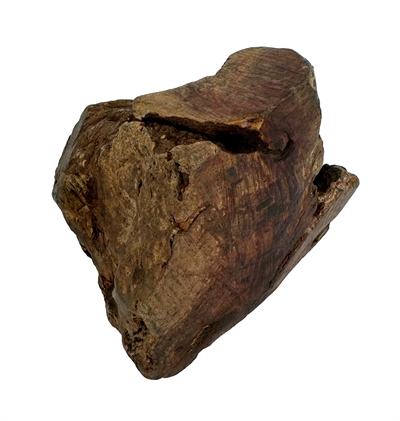 Kauwwortel hond - Dog Woodzzz olijfhout - XL - 751-1000 gr - Hondenpleintje.nl